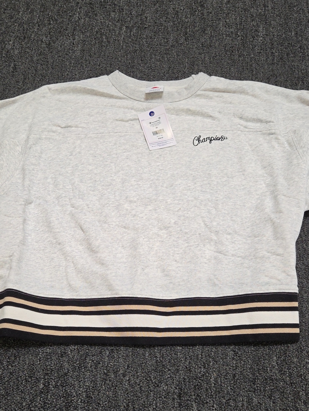 (#2C) Champion Gray Crewneck Sweatshirt with Black and Cream Striped Hem